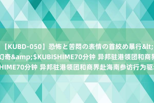 【KUBD-050】恐怖と苦悶の表情の首絞め暴行</a>2013-03-18幻奇&$KUBISHIME70分钟 异邦驻港领团和商界赴海南参访行为驱动