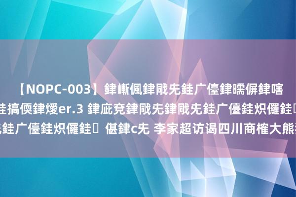 【NOPC-003】銉嶃偑銉戙兂銈广儓銉曘偋銉嗐偅銉冦偡銉ャ儫銉ャ兗銈搞偄銉燰er.3 銉庛兗銉戙兂銉戙兂銈广儓銈炽儸銈偡銉с兂 李家超访谒四川商榷大熊猫赴港安排