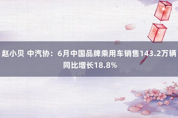 赵小贝 中汽协：6月中国品牌乘用车销售143.2万辆 同比增长18.8%