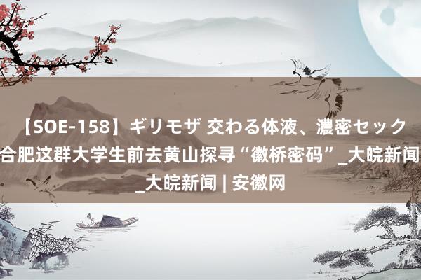 【SOE-158】ギリモザ 交わる体液、濃密セックス Ami 合肥这群大学生前去黄山探寻“徽桥密码”_大皖新闻 | 安徽网