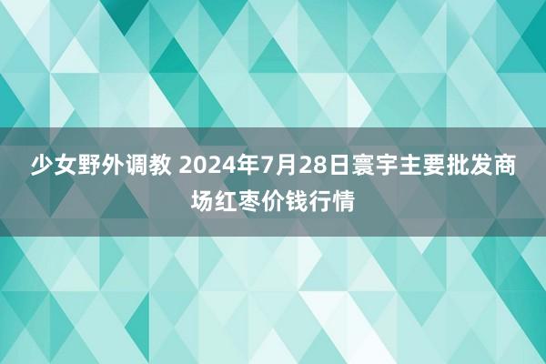 少女野外调教 2024年7月28日寰宇主要批发商场红枣价钱行情