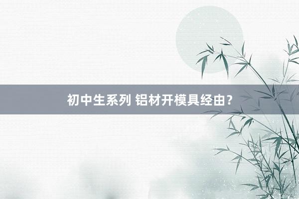 初中生系列 铝材开模具经由？