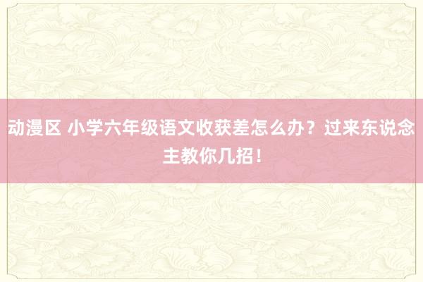 动漫区 小学六年级语文收获差怎么办？过来东说念主教你几招！