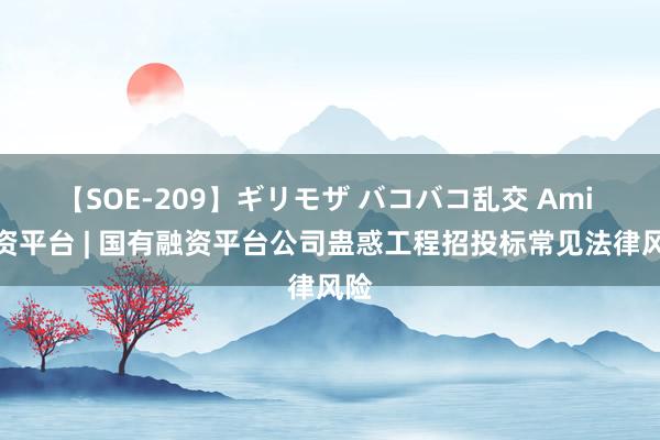 【SOE-209】ギリモザ バコバコ乱交 Ami 融资平台 | 国有融资平台公司蛊惑工程招投标常见法律风险