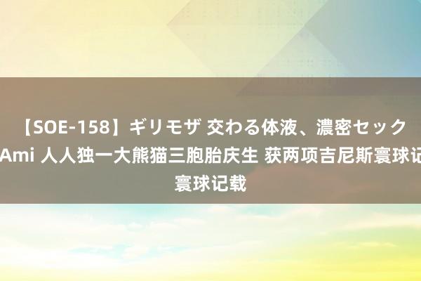 【SOE-158】ギリモザ 交わる体液、濃密セックス Ami 人人独一大熊猫三胞胎庆生 获两项吉尼斯寰球记载