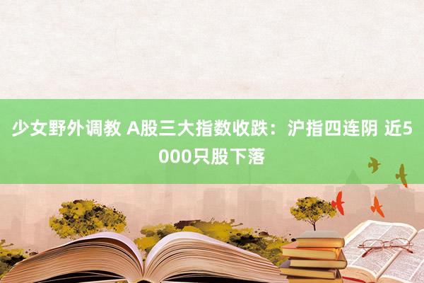 少女野外调教 A股三大指数收跌：沪指四连阴 近5000只股下落