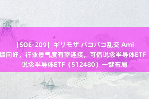 【SOE-209】ギリモザ バコバコ乱交 Ami 半导体公司上半年功绩向好，行业景气度有望连接，可借说念半导体ETF（512480）一键布局