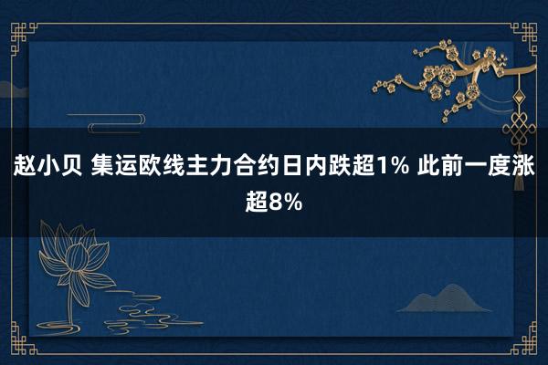 赵小贝 集运欧线主力合约日内跌超1% 此前一度涨超8%