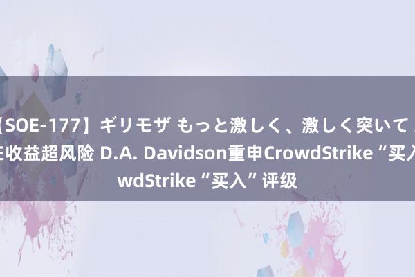 【SOE-177】ギリモザ もっと激しく、激しく突いて Ami 潜在收益超风险 D.A. Davidson重申CrowdStrike“买入”评级