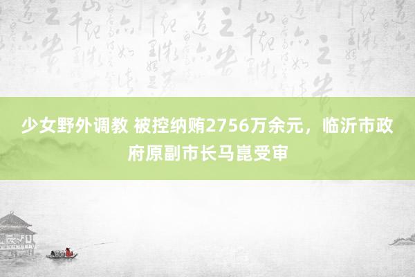 少女野外调教 被控纳贿2756万余元，临沂市政府原副市长马崑受审