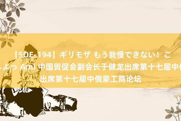 【SOE-194】ギリモザ もう我慢できない！ここでエッチしよっ Ami 中国贸促会副会长于健龙出席第十七届中俄蒙工商论坛