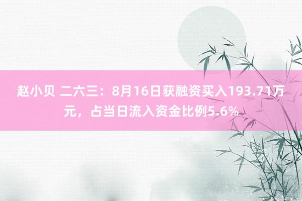 赵小贝 二六三：8月16日获融资买入193.71万元，占当日流入资金比例5.6%