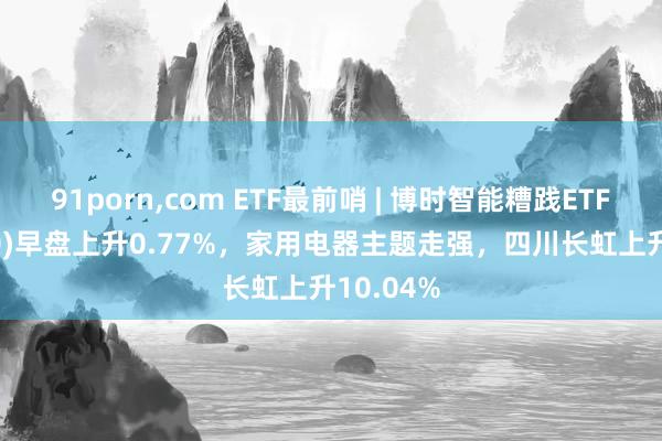 91porn，com ETF最前哨 | 博时智能糟践ETF(515920)早盘上升0.77%，家用电器主题走强，四川长虹上升10.04%