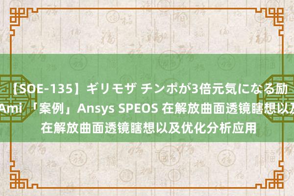 【SOE-135】ギリモザ チンポが3倍元気になる励ましセックス Ami 「案例」Ansys SPEOS 在解放曲面透镜瞎想以及优化分析应用