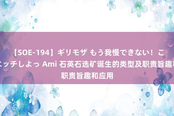 【SOE-194】ギリモザ もう我慢できない！ここでエッチしよっ Ami 石英石选矿诞生的类型及职责旨趣和应用