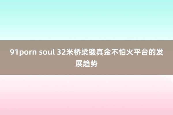 91porn soul 32米桥梁锻真金不怕火平台的发展趋势