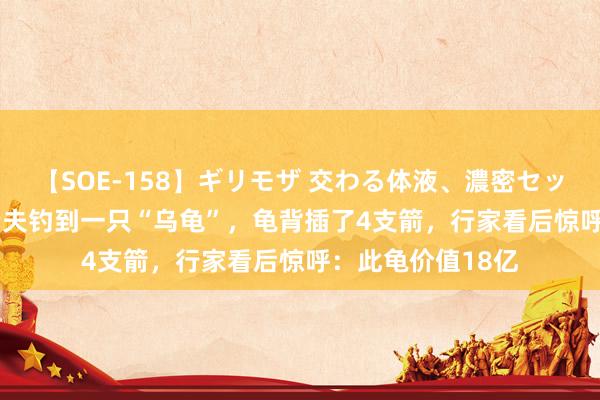 【SOE-158】ギリモザ 交わる体液、濃密セックス Ami 河南老夫钓到一只“乌龟”，龟背插了4支箭，行家看后惊呼：此龟价值18亿