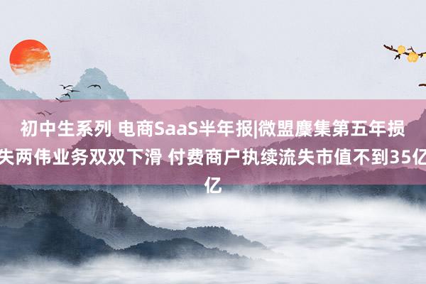 初中生系列 电商SaaS半年报|微盟麇集第五年损失两伟业务双双下滑 付费商户执续流失市值不到35亿