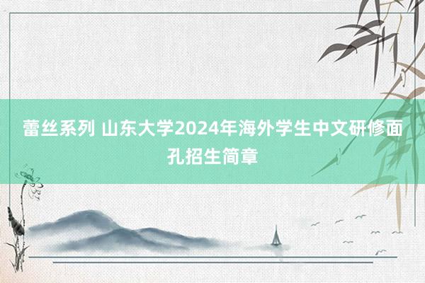 蕾丝系列 山东大学2024年海外学生中文研修面孔招生简章