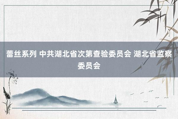 蕾丝系列 中共湖北省次第查验委员会 湖北省监察委员会