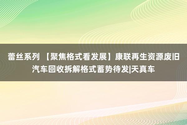 蕾丝系列 【聚焦格式看发展】康联再生资源废旧汽车回收拆解格式蓄势待发|天真车