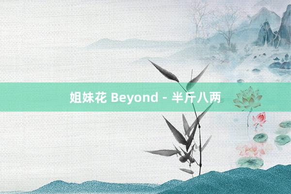 姐妹花 Beyond - 半斤八两