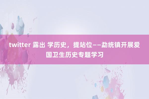 twitter 露出 学历史，提站位——勐统镇开展爱国卫生历史专题学习