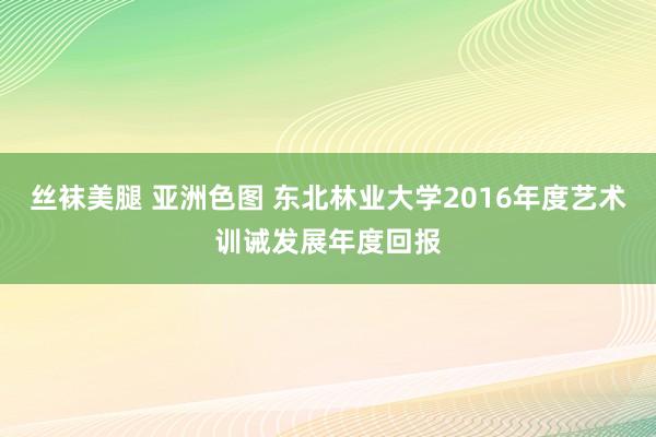 丝袜美腿 亚洲色图 东北林业大学2016年度艺术训诫发展年度回报